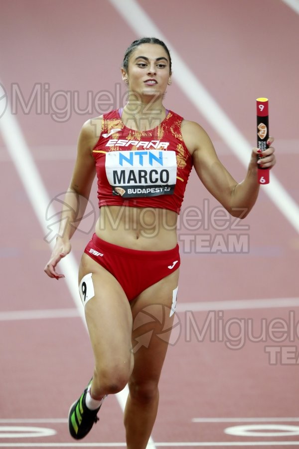 ATLETISMO: Campeonato del Mundo absoluto al aire libre, estadio National Athletics Centre (Budapest) 19-08-2023 al 27-08-2023. 