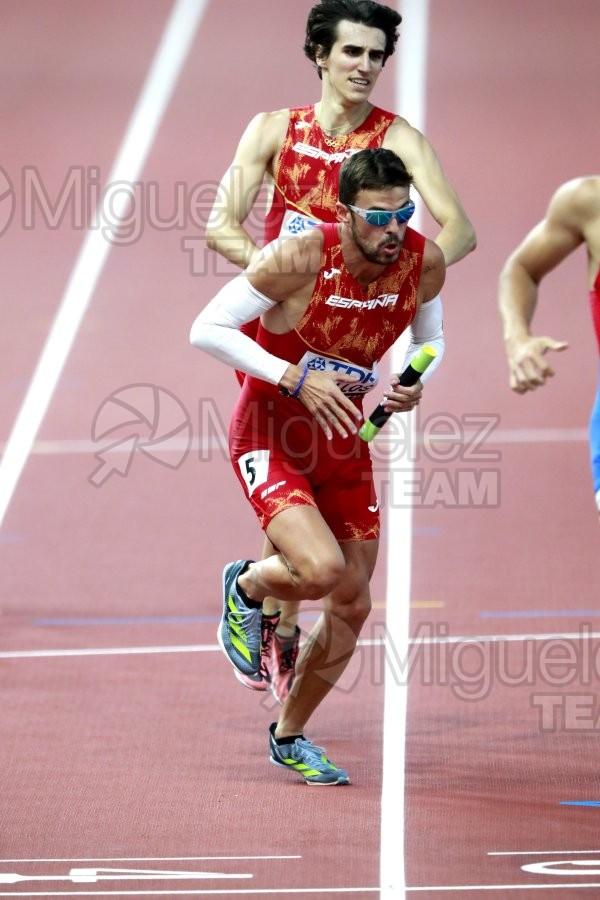 ATLETISMO: Campeonato del Mundo absoluto al aire libre, estadio National Athletics Centre (Budapest) 19-08-2023 al 27-08-2023. 