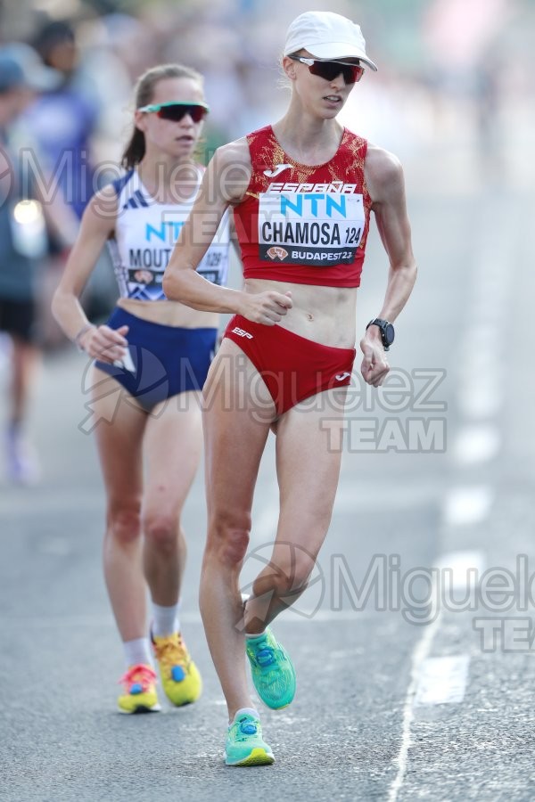 ATLETISMO: Campeonato del Mundo absoluto al aire libre, estadio National Athletics Centre (Budapest) 19-08-2023 al 27-08-2023. 