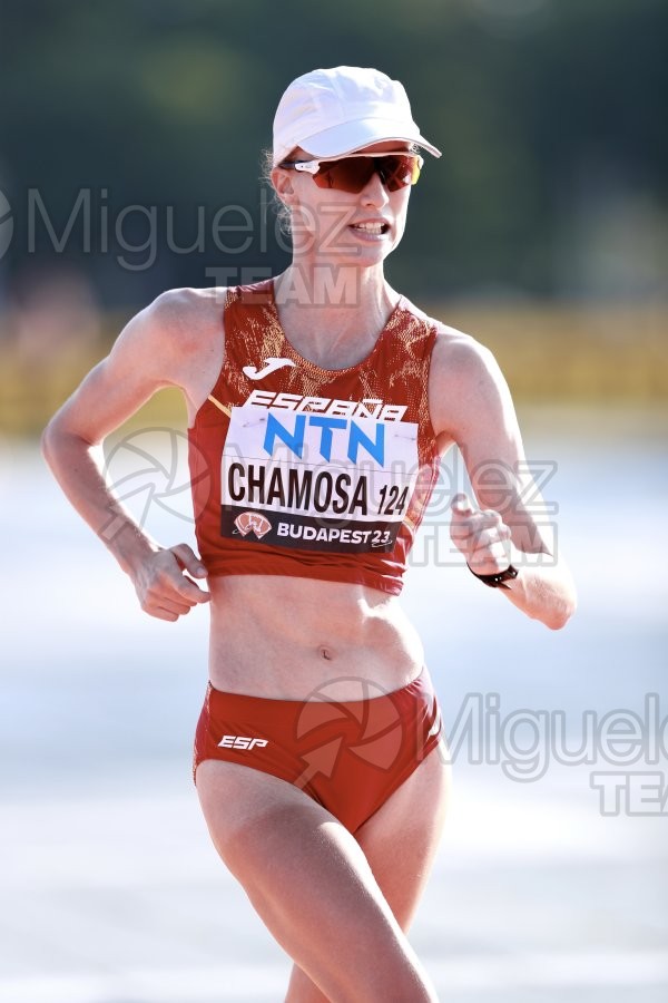 ATLETISMO: Campeonato del Mundo absoluto al aire libre, estadio National Athletics Centre (Budapest) 19-08-2023 al 27-08-2023. 