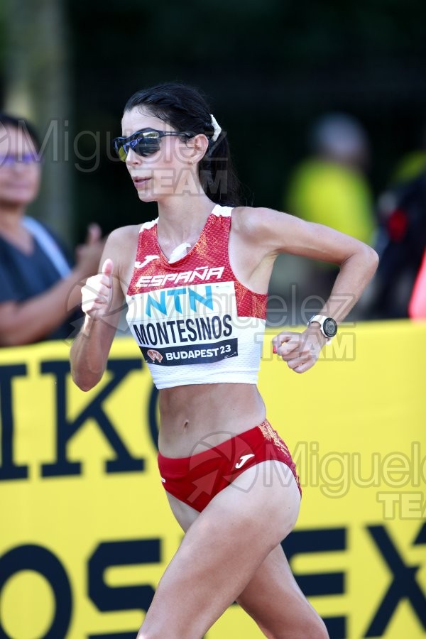 ATLETISMO: Campeonato del Mundo absoluto al aire libre, estadio National Athletics Centre (Budapest) 19-08-2023 al 27-08-2023. 