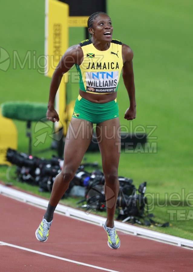 ATLETISMO: Campeonato del Mundo absoluto al aire libre, estadio National Athletics Centre (Budapest) 19-08-2023 al 27-08-2023. 