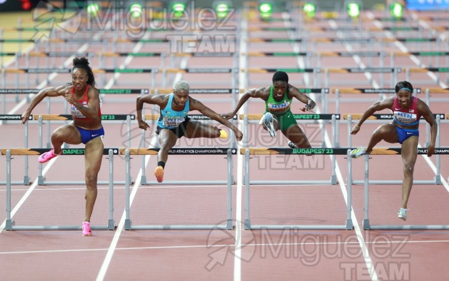 ATLETISMO: Campeonato del Mundo absoluto al aire libre, estadio National Athletics Centre (Budapest) 19-08-2023 al 27-08-2023. 