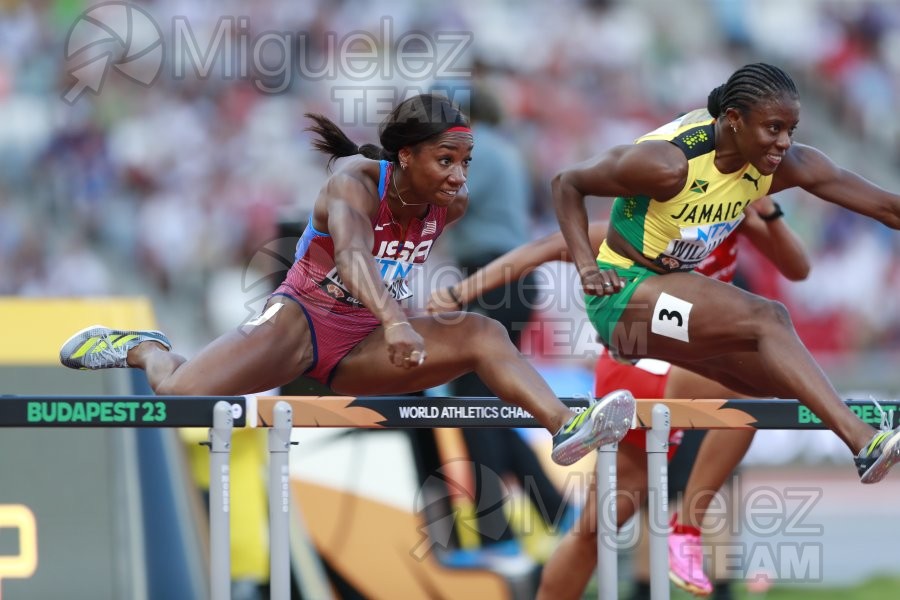 ATLETISMO: Campeonato del Mundo absoluto al aire libre, estadio National Athletics Centre (Budapest) 19-08-2023 al 27-08-2023. 