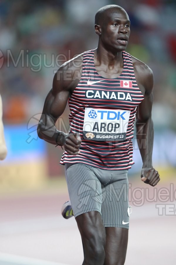 ATLETISMO: Campeonato del Mundo absoluto al aire libre, estadio National Athletics Centre (Budapest) 19-08-2023 al 27-08-2023. 