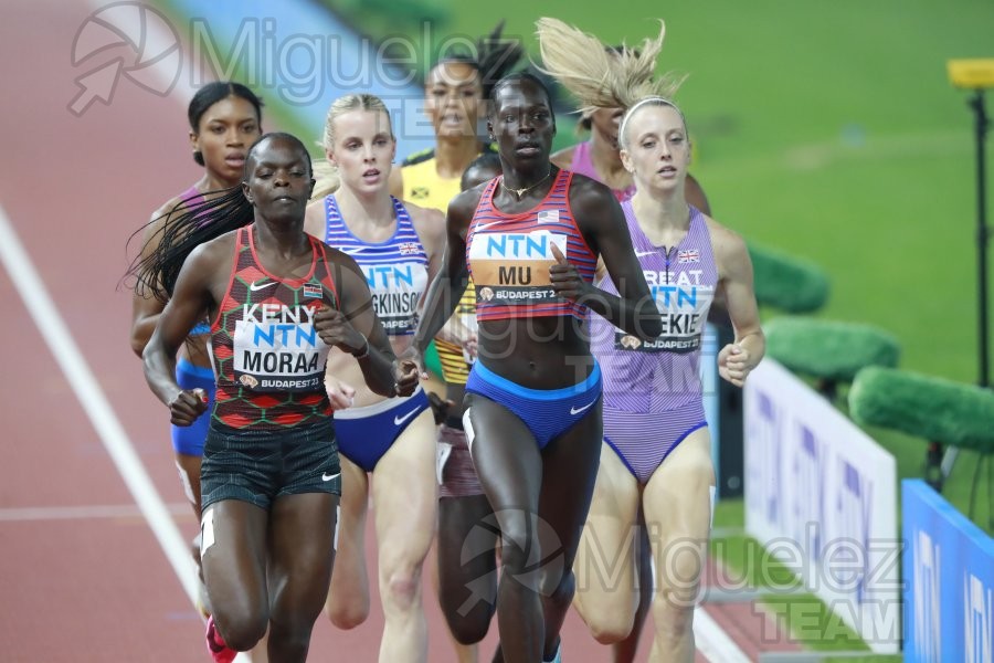 ATLETISMO: Campeonato del Mundo absoluto al aire libre, estadio National Athletics Centre (Budapest) 19-08-2023 al 27-08-2023. 