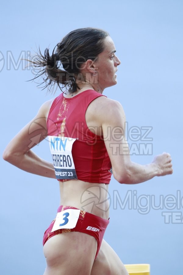 ATLETISMO: Campeonato del Mundo absoluto al aire libre, estadio National Athletics Centre (Budapest) 19-08-2023 al 27-08-2023. 