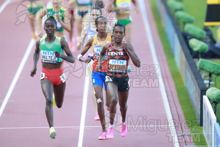 ATLETISMO: Campeonato del Mundo absoluto al aire libre, estadio National Athletics Centre (Budapest) 19-08-2023 al 27-08-2023. 