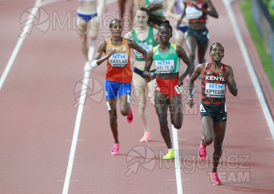 ATLETISMO: Campeonato del Mundo absoluto al aire libre, estadio National Athletics Centre (Budapest) 19-08-2023 al 27-08-2023. 