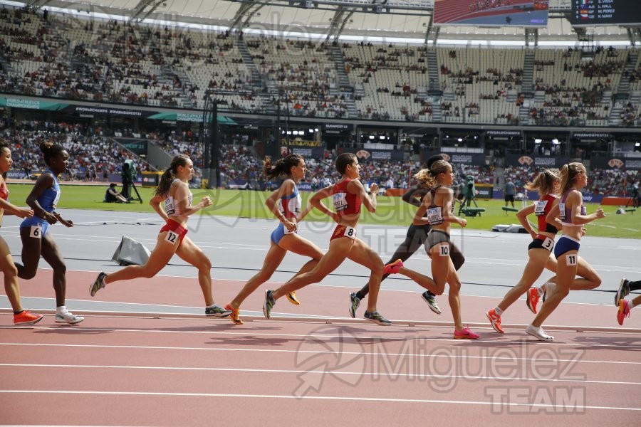 ATLETISMO: Campeonato del Mundo absoluto al aire libre, estadio National Athletics Centre (Budapest) 19-08-2023 al 27-08-2023. 