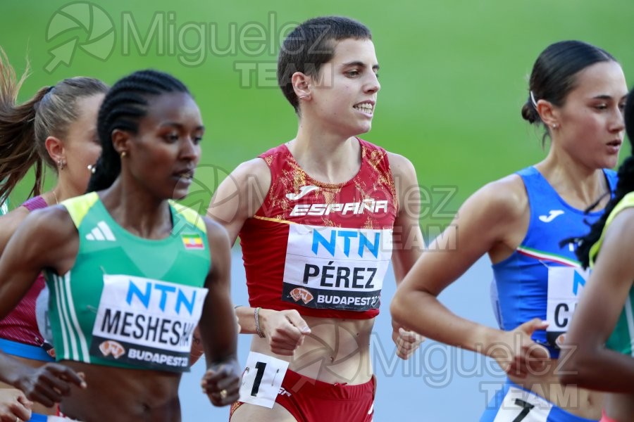 ATLETISMO: Campeonato del Mundo absoluto al aire libre, estadio National Athletics Centre (Budapest) 19-08-2023 al 27-08-2023. 