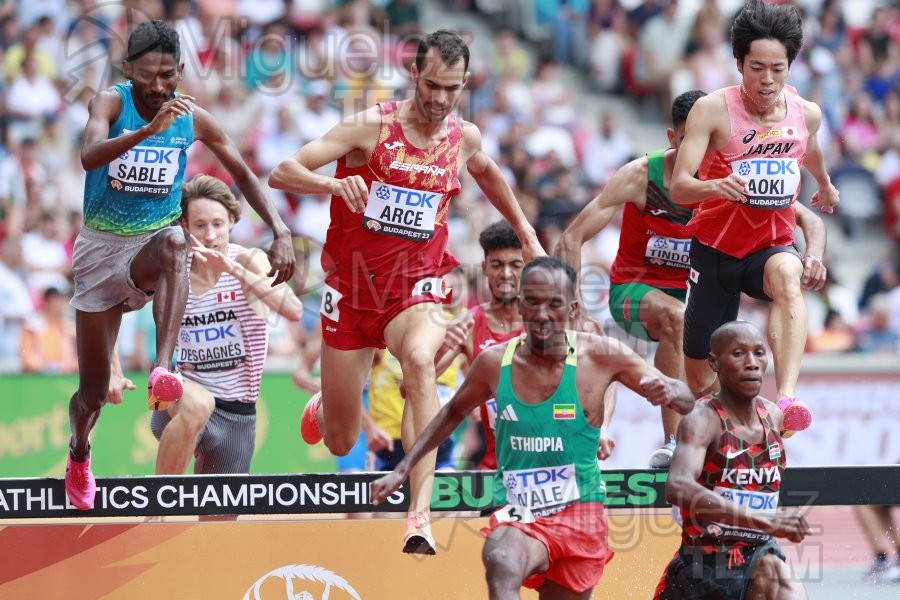 ATLETISMO: Campeonato del Mundo absoluto al aire libre, estadio National Athletics Centre (Budapest) 19-08-2023 al 27-08-2023. 