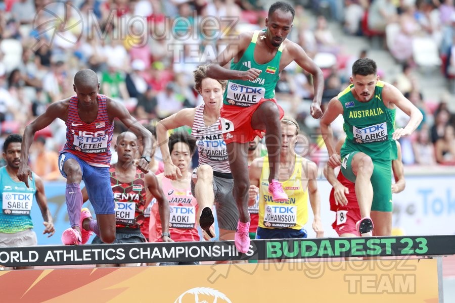 ATLETISMO: Campeonato del Mundo absoluto al aire libre, estadio National Athletics Centre (Budapest) 19-08-2023 al 27-08-2023. 