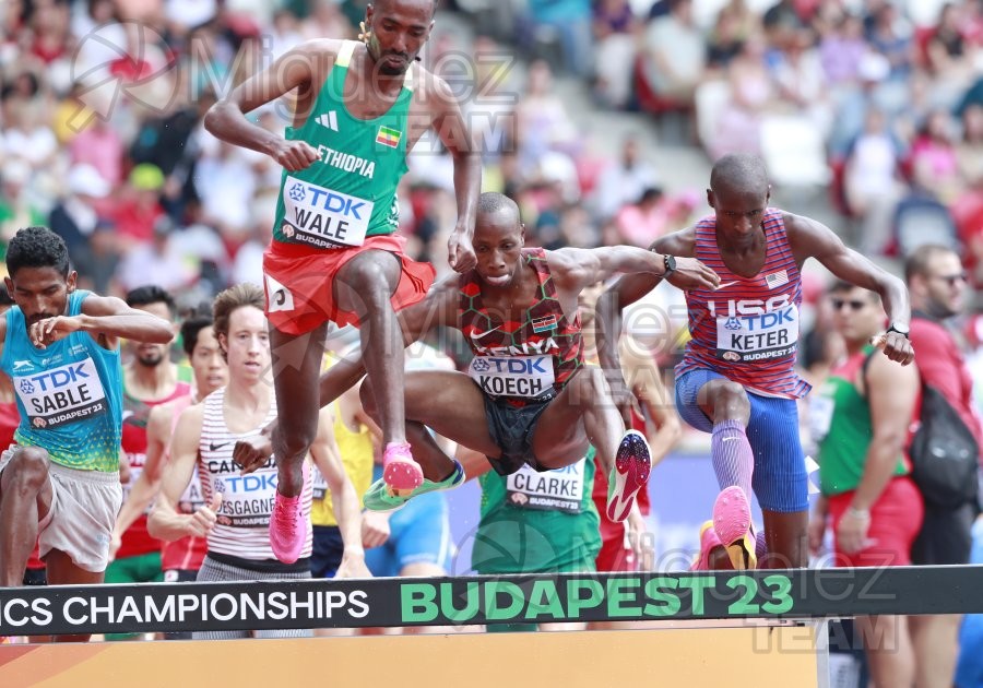 ATLETISMO: Campeonato del Mundo absoluto al aire libre, estadio National Athletics Centre (Budapest) 19-08-2023 al 27-08-2023. 