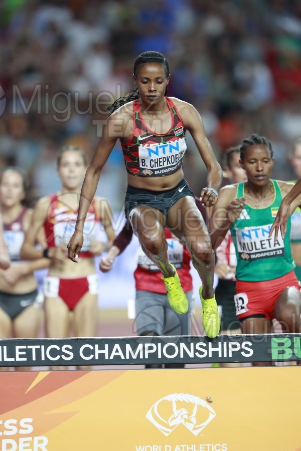 ATLETISMO: Campeonato del Mundo absoluto al aire libre, estadio National Athletics Centre (Budapest) 19-08-2023 al 27-08-2023. 