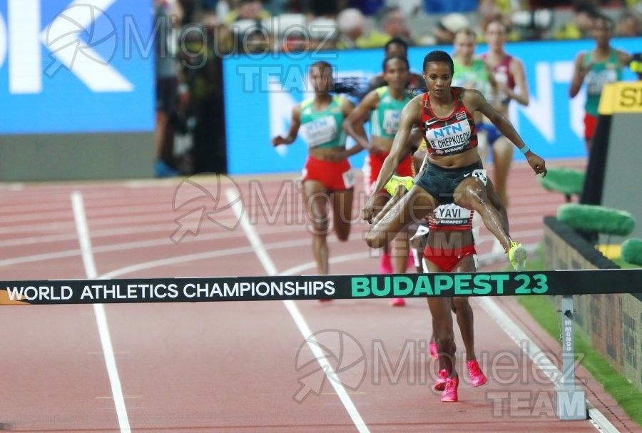 ATLETISMO: Campeonato del Mundo absoluto al aire libre, estadio National Athletics Centre (Budapest) 19-08-2023 al 27-08-2023. 