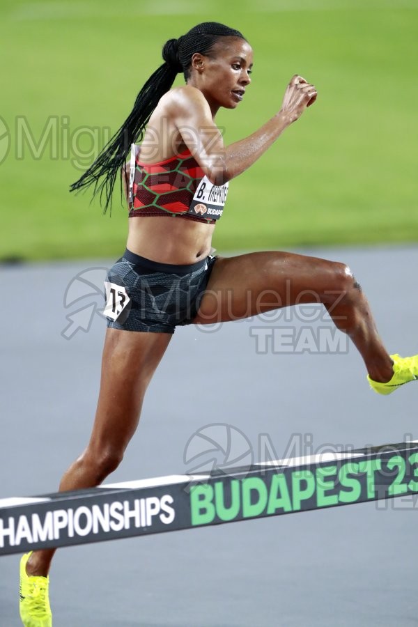 ATLETISMO: Campeonato del Mundo absoluto al aire libre, estadio National Athletics Centre (Budapest) 19-08-2023 al 27-08-2023. 