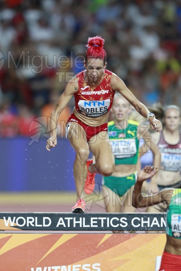 ATLETISMO: Campeonato del Mundo absoluto al aire libre, estadio National Athletics Centre (Budapest) 19-08-2023 al 27-08-2023. 