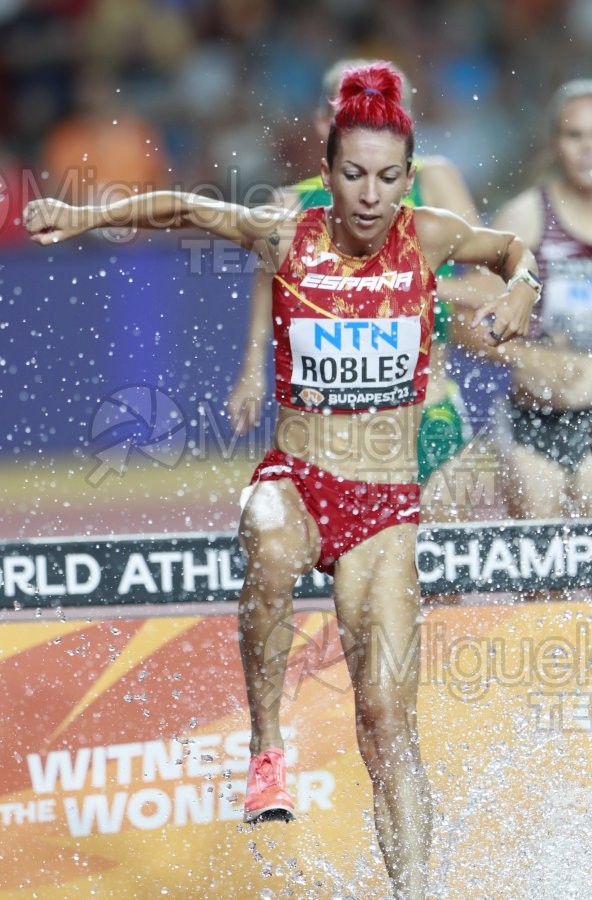 ATLETISMO: Campeonato del Mundo absoluto al aire libre, estadio National Athletics Centre (Budapest) 19-08-2023 al 27-08-2023. 