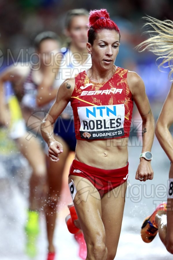 ATLETISMO: Campeonato del Mundo absoluto al aire libre, estadio National Athletics Centre (Budapest) 19-08-2023 al 27-08-2023. 