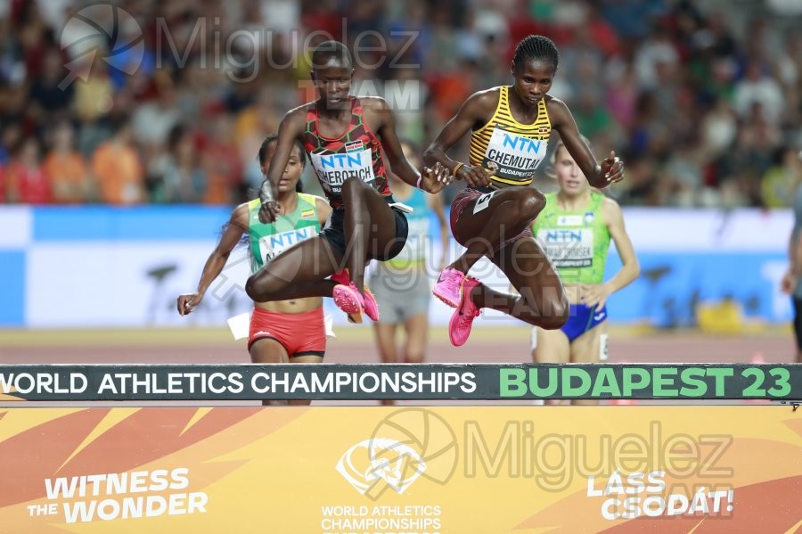 ATLETISMO: Campeonato del Mundo absoluto al aire libre, estadio National Athletics Centre (Budapest) 19-08-2023 al 27-08-2023. 