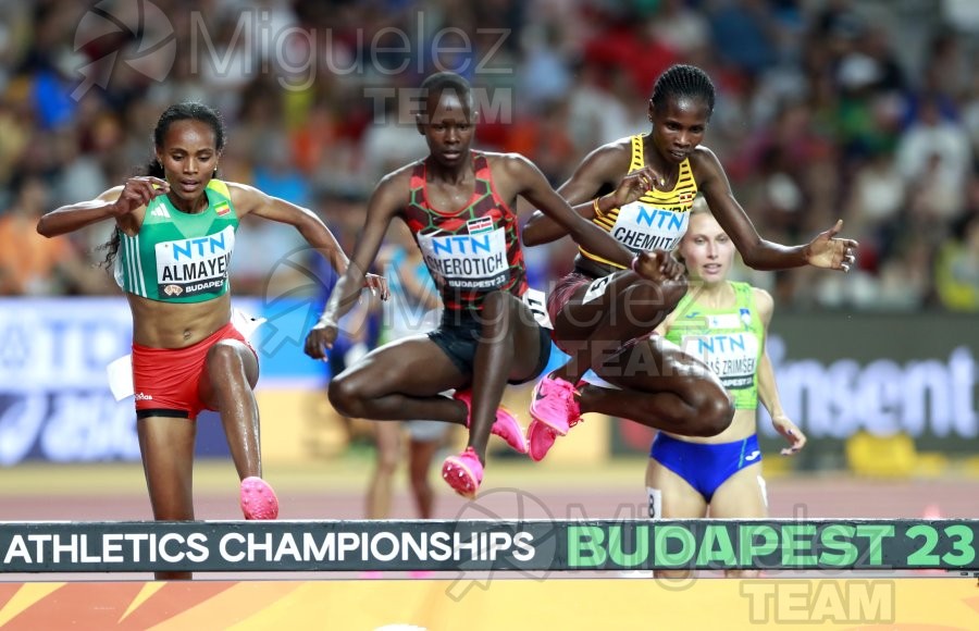 ATLETISMO: Campeonato del Mundo absoluto al aire libre, estadio National Athletics Centre (Budapest) 19-08-2023 al 27-08-2023. 