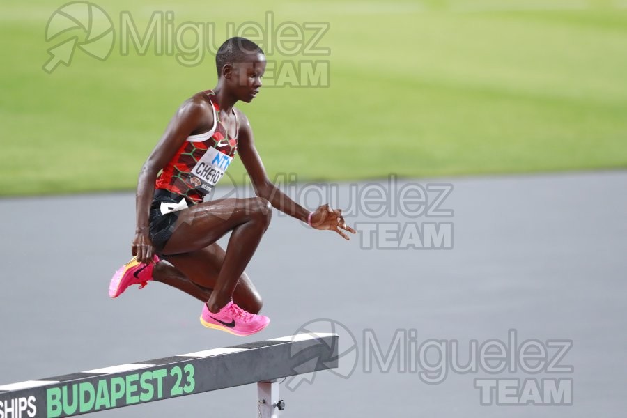 ATLETISMO: Campeonato del Mundo absoluto al aire libre, estadio National Athletics Centre (Budapest) 19-08-2023 al 27-08-2023. 