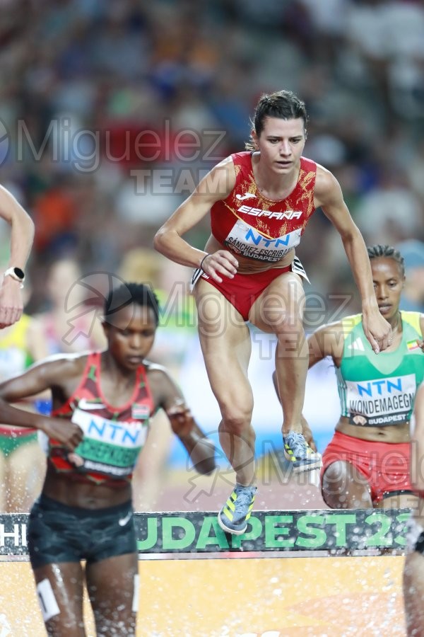 ATLETISMO: Campeonato del Mundo absoluto al aire libre, estadio National Athletics Centre (Budapest) 19-08-2023 al 27-08-2023. 