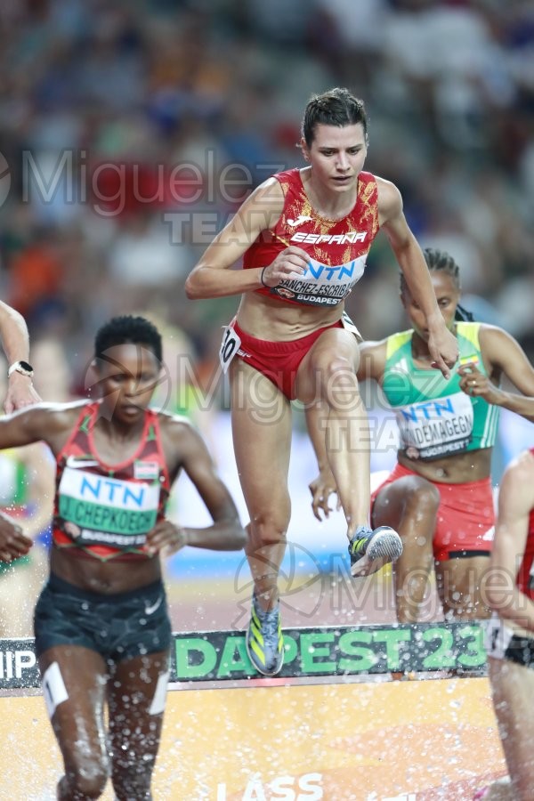 ATLETISMO: Campeonato del Mundo absoluto al aire libre, estadio National Athletics Centre (Budapest) 19-08-2023 al 27-08-2023. 