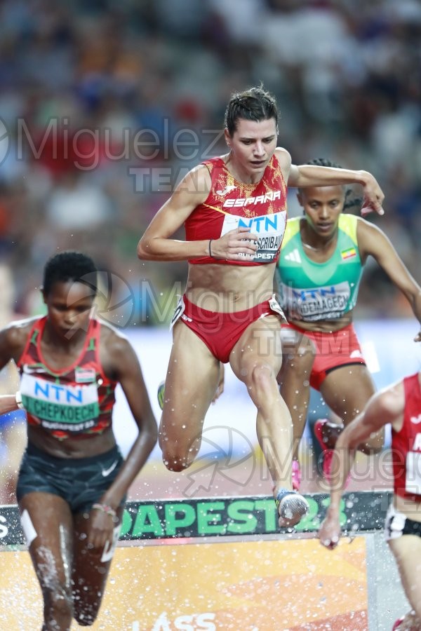 ATLETISMO: Campeonato del Mundo absoluto al aire libre, estadio National Athletics Centre (Budapest) 19-08-2023 al 27-08-2023. 