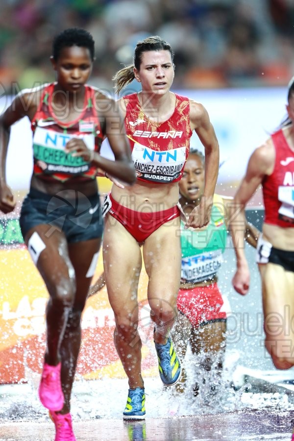 ATLETISMO: Campeonato del Mundo absoluto al aire libre, estadio National Athletics Centre (Budapest) 19-08-2023 al 27-08-2023. 