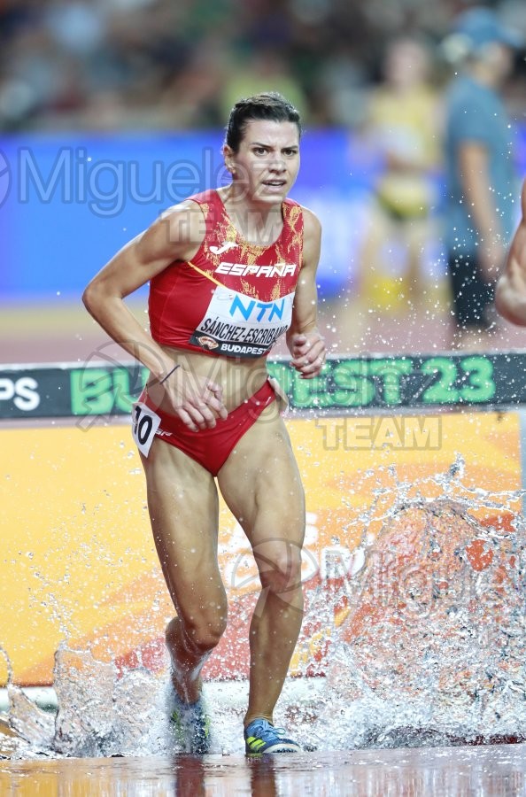 ATLETISMO: Campeonato del Mundo absoluto al aire libre, estadio National Athletics Centre (Budapest) 19-08-2023 al 27-08-2023. 