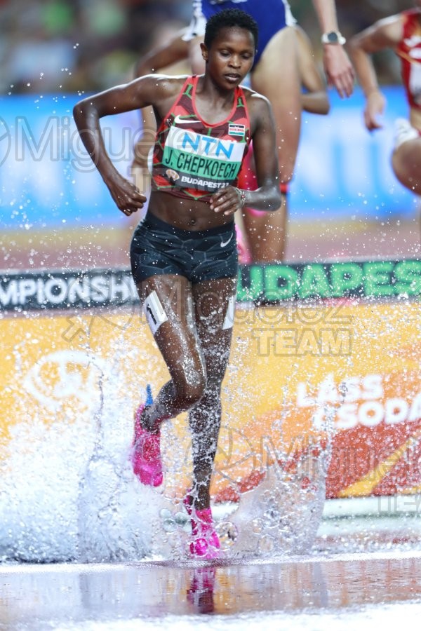 ATLETISMO: Campeonato del Mundo absoluto al aire libre, estadio National Athletics Centre (Budapest) 19-08-2023 al 27-08-2023. 