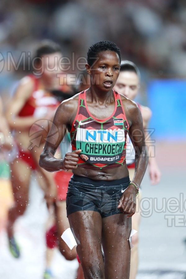 ATLETISMO: Campeonato del Mundo absoluto al aire libre, estadio National Athletics Centre (Budapest) 19-08-2023 al 27-08-2023. 