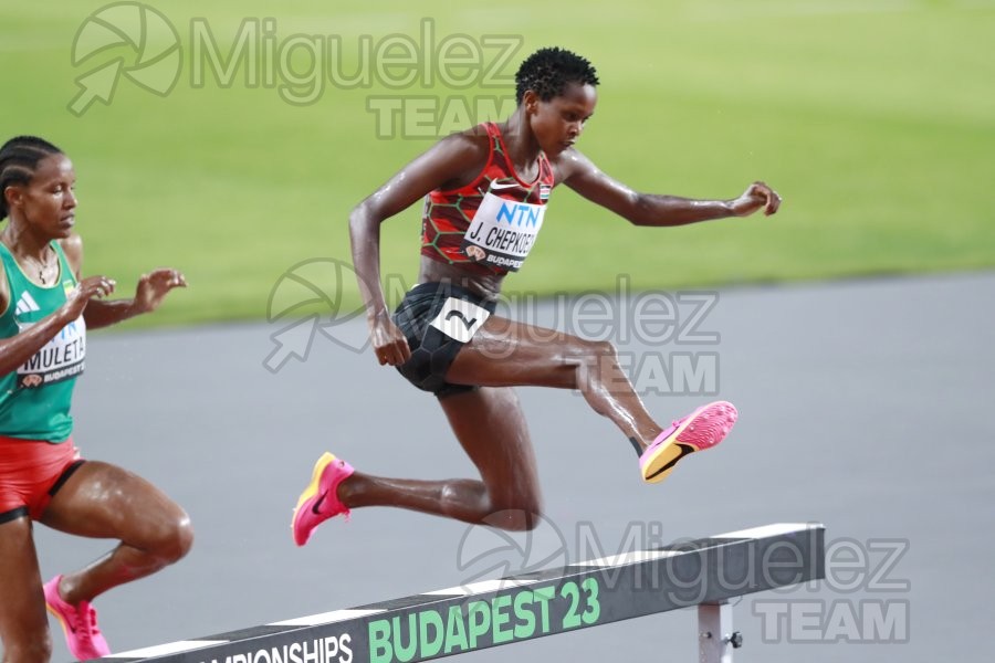 ATLETISMO: Campeonato del Mundo absoluto al aire libre, estadio National Athletics Centre (Budapest) 19-08-2023 al 27-08-2023. 