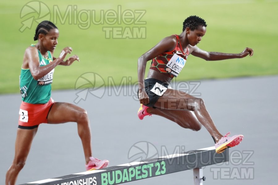 ATLETISMO: Campeonato del Mundo absoluto al aire libre, estadio National Athletics Centre (Budapest) 19-08-2023 al 27-08-2023. 