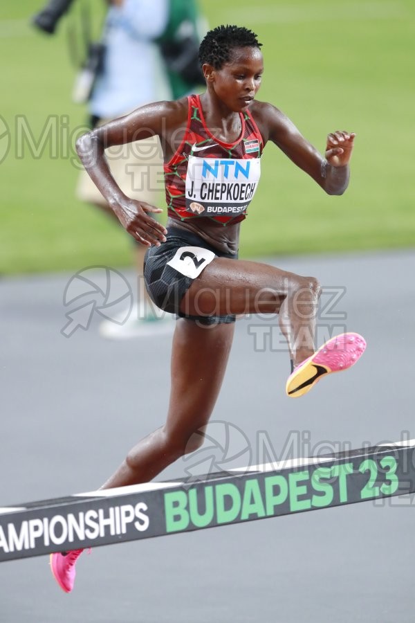 ATLETISMO: Campeonato del Mundo absoluto al aire libre, estadio National Athletics Centre (Budapest) 19-08-2023 al 27-08-2023. 