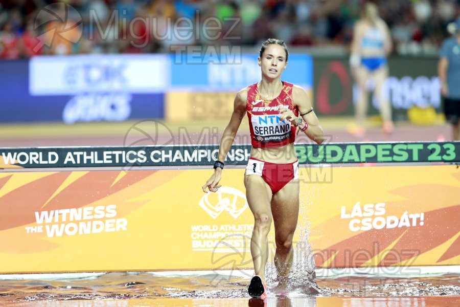 ATLETISMO: Campeonato del Mundo absoluto al aire libre, estadio National Athletics Centre (Budapest) 19-08-2023 al 27-08-2023. 