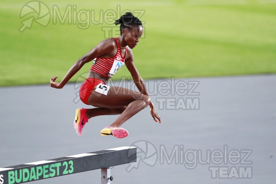 ATLETISMO: Campeonato del Mundo absoluto al aire libre, estadio National Athletics Centre (Budapest) 19-08-2023 al 27-08-2023. 