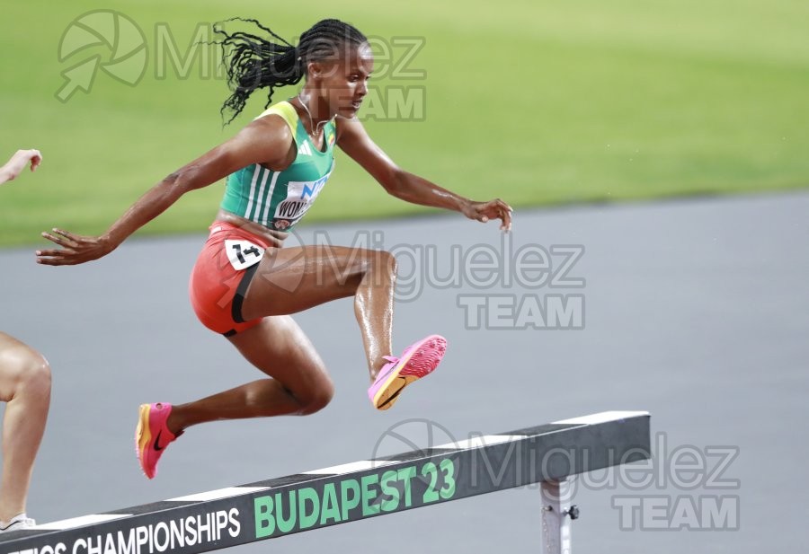 ATLETISMO: Campeonato del Mundo absoluto al aire libre, estadio National Athletics Centre (Budapest) 19-08-2023 al 27-08-2023. 