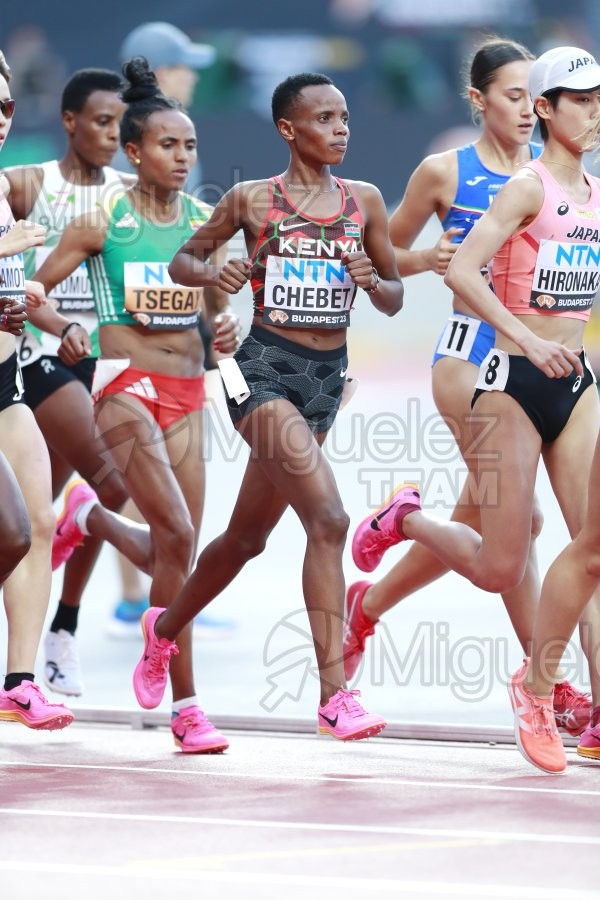 ATLETISMO: Campeonato del Mundo absoluto al aire libre, estadio National Athletics Centre (Budapest) 19-08-2023 al 27-08-2023. 