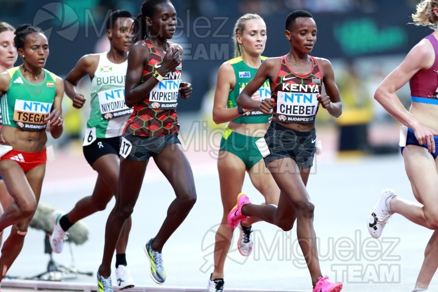 ATLETISMO: Campeonato del Mundo absoluto al aire libre, estadio National Athletics Centre (Budapest) 19-08-2023 al 27-08-2023. 