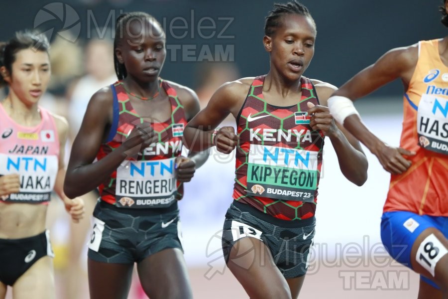 ATLETISMO: Campeonato del Mundo absoluto al aire libre, estadio National Athletics Centre (Budapest) 19-08-2023 al 27-08-2023. 