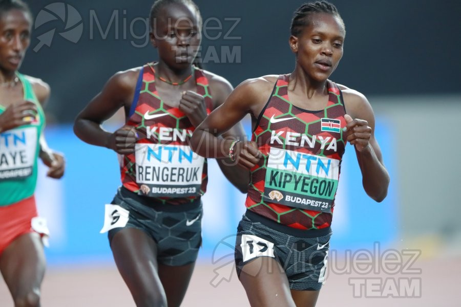 ATLETISMO: Campeonato del Mundo absoluto al aire libre, estadio National Athletics Centre (Budapest) 19-08-2023 al 27-08-2023. 