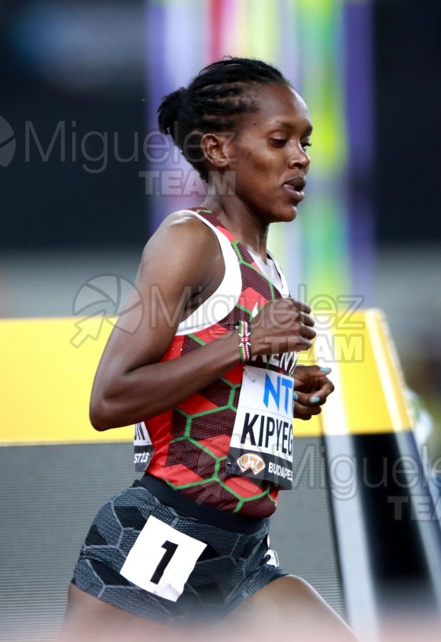 ATLETISMO: Campeonato del Mundo absoluto al aire libre, estadio National Athletics Centre (Budapest) 19-08-2023 al 27-08-2023. 