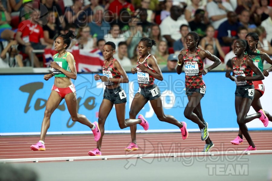 ATLETISMO: Campeonato del Mundo absoluto al aire libre, estadio National Athletics Centre (Budapest) 19-08-2023 al 27-08-2023. 