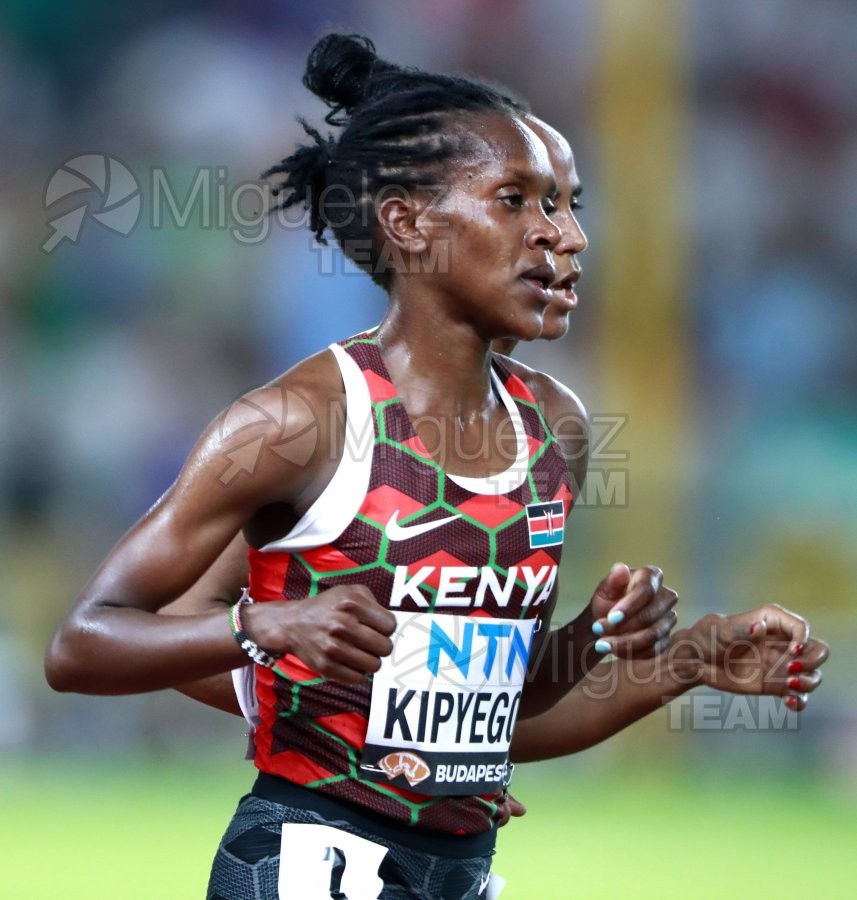 ATLETISMO: Campeonato del Mundo absoluto al aire libre, estadio National Athletics Centre (Budapest) 19-08-2023 al 27-08-2023. 