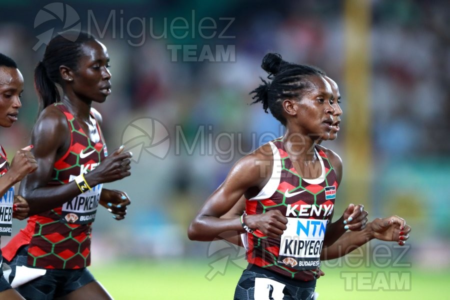 ATLETISMO: Campeonato del Mundo absoluto al aire libre, estadio National Athletics Centre (Budapest) 19-08-2023 al 27-08-2023. 