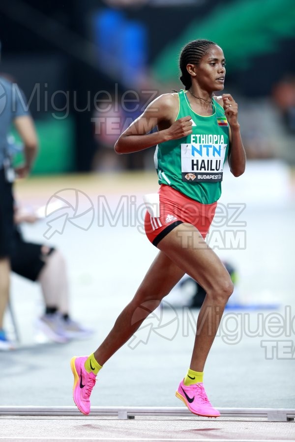 ATLETISMO: Campeonato del Mundo absoluto al aire libre, estadio National Athletics Centre (Budapest) 19-08-2023 al 27-08-2023. 