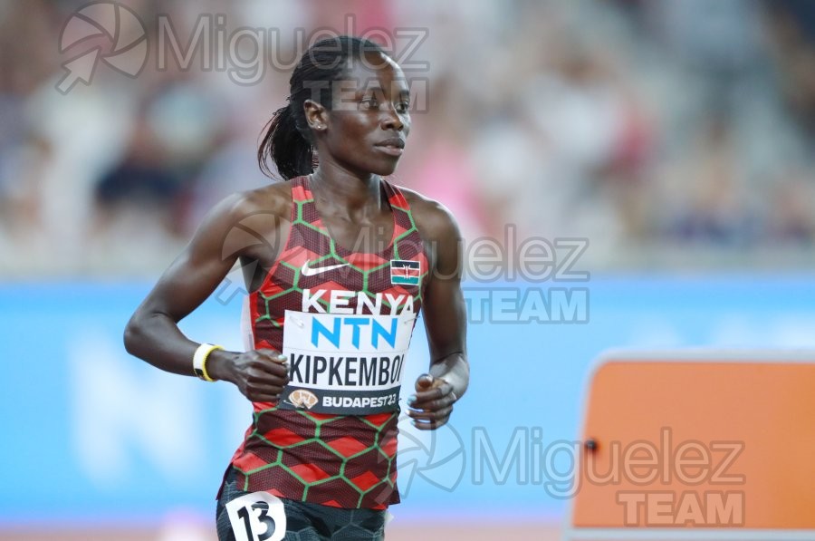 ATLETISMO: Campeonato del Mundo absoluto al aire libre, estadio National Athletics Centre (Budapest) 19-08-2023 al 27-08-2023. 